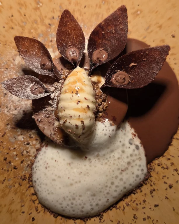 Ganache chocolat, riz au lait d'orge torréfié, caramel de whisky breton, crémeux chocolat et coulis de chocolat au whisky tourbé.