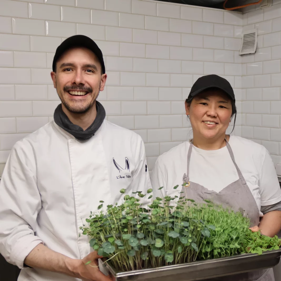 Mikoto et Ben transforment légumes, herbes et fruits en stars des assiettes