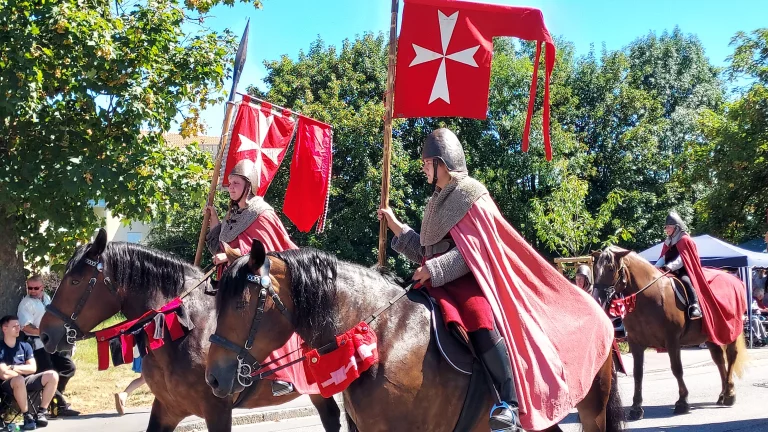200 chevaux participent au défilé historique