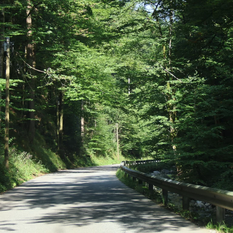 La Route des Alpes allemandes passent parfois par des petites routes idylliques