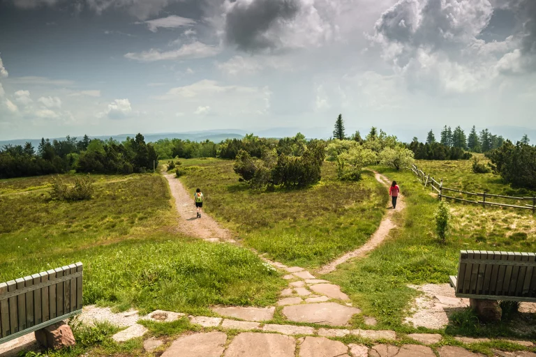 Sur le sommet du Schliffkopf. ©Baiersbronn Tourisitk
