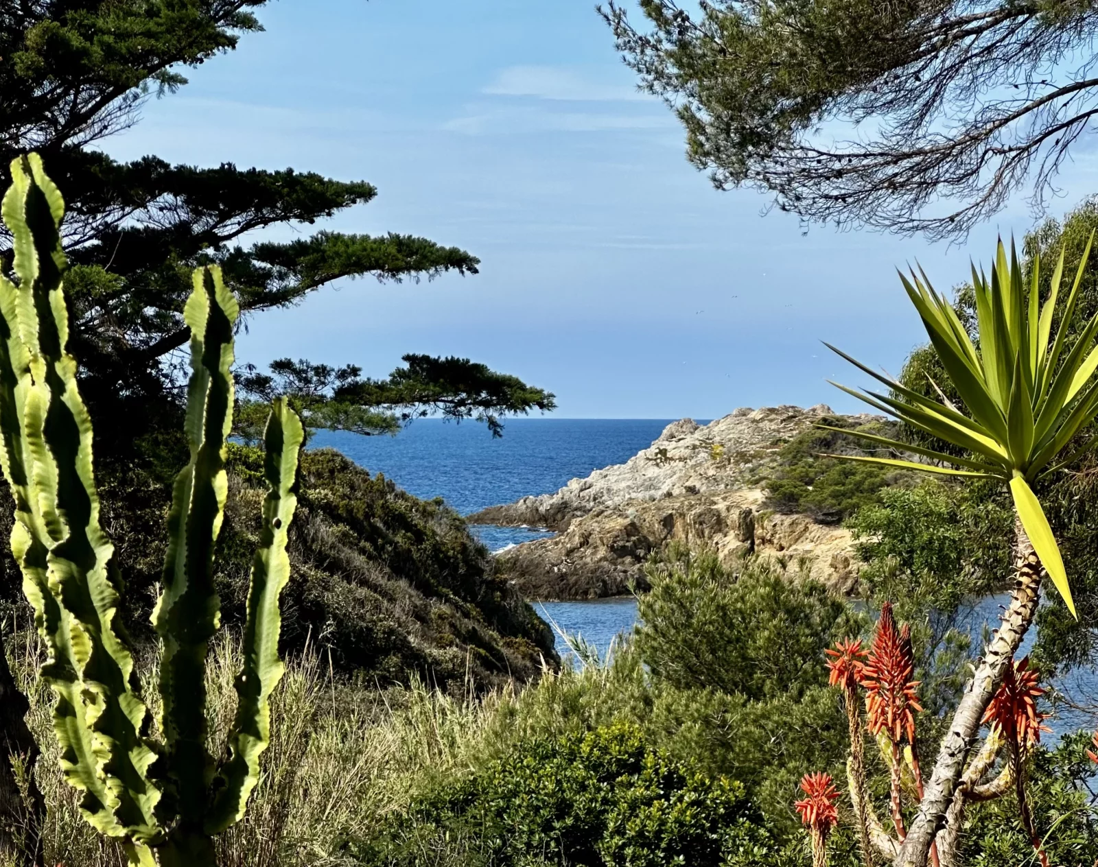 Pinède et maquis littoral en surplomb des plages aux eaux transparentes ©F.Hermine