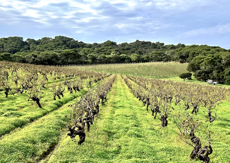 7-Biodiversité-des-vignes-et-des-forêts au Domaine de l'Île©F.Hermine