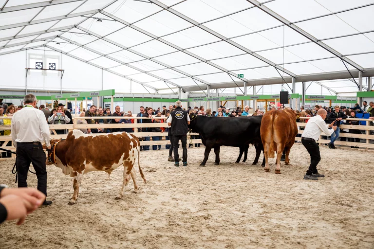 A la foire agricole