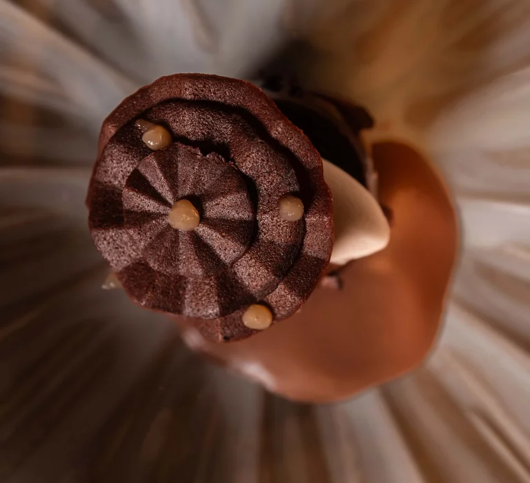 Dessert chocolat avec son sorbet mucilage.