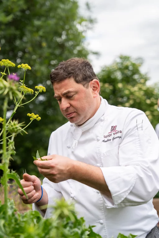 Une fois par semaine, les membres de la bridage d'Aurelien Grandsagne vont cueillir àtour de role des plantes sauvages