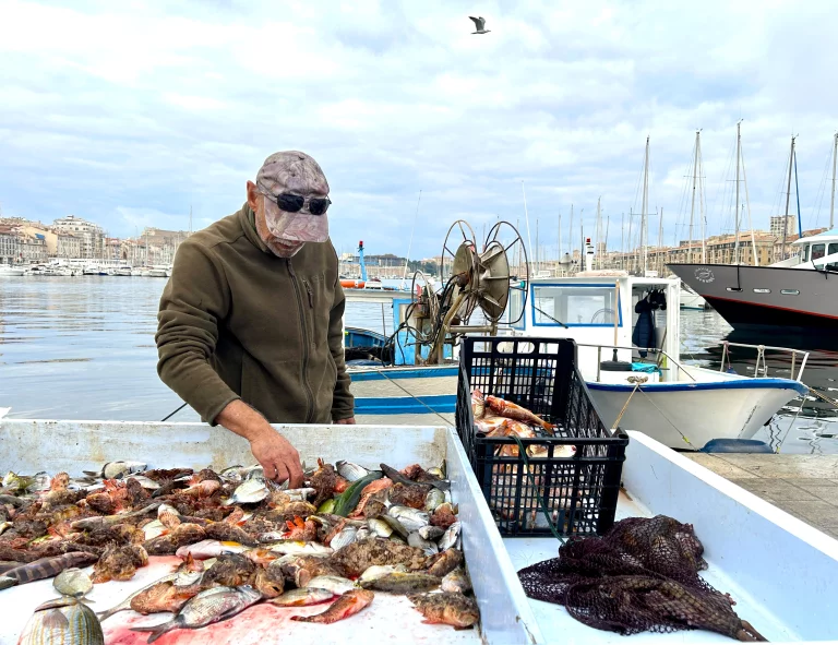 Le marché aux poissons du Vieux-Port s'installe tous les matins sur le Quai de la Fraternité. ©F.Hermine