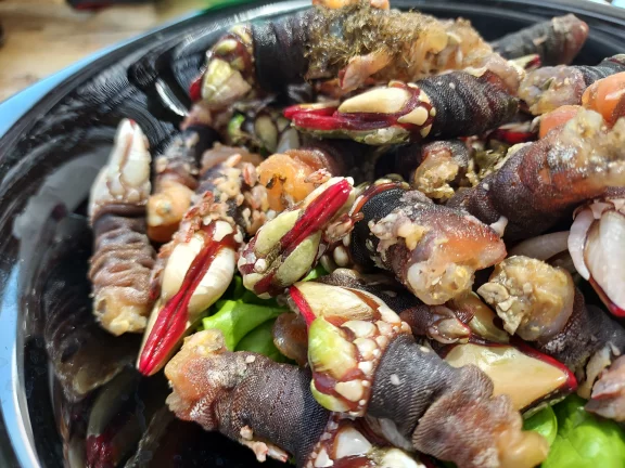 C'est sur la côte Atlantique de l 'Alentejo que l'on trouve le pouce-pied.