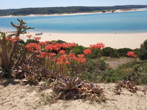 L'Alentejo, ce sont aussi des villages de pêcheurs, des petites stations balnéaires avec des étendues de sable désertes.