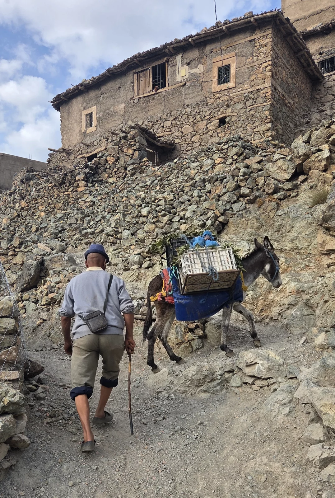 Dans le village berbère de D'Knt, les mules servent au transport des marchandises et des récoltes.