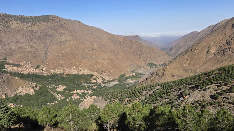 La vallée d'Imlil et ses forêts de pins.