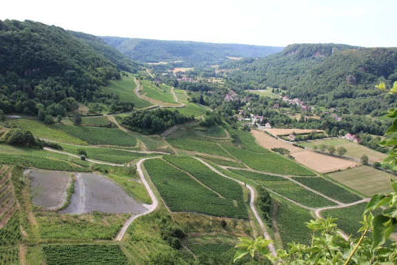 Jura. Château-Chalon. Vignes, forêts, vallées, aplombs rocheux forment le paysage du Jura.