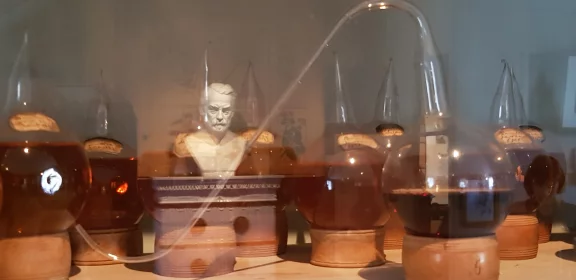 Jura. Dans la maison-laboratoire de Louis Pasteur à Arbois, de nombreuses fioles témoignent de ses nombreuses recherches.
