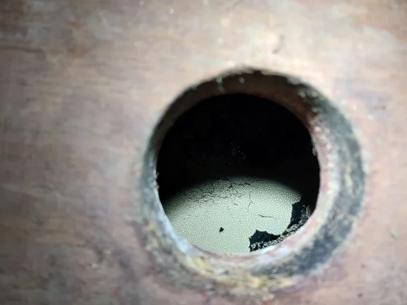 Jura. La méfiance était de mise face à ces champignons formant comme un voile à la surface du vin.