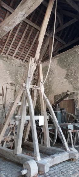 Une grue à orangers.