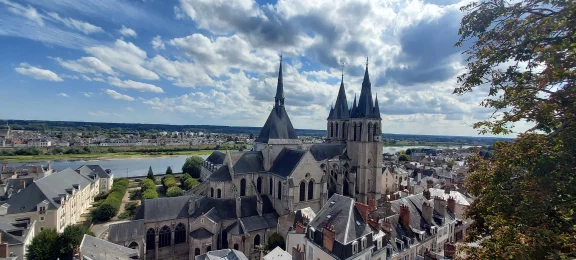 Vue sur la Loire depuis le château de Blois