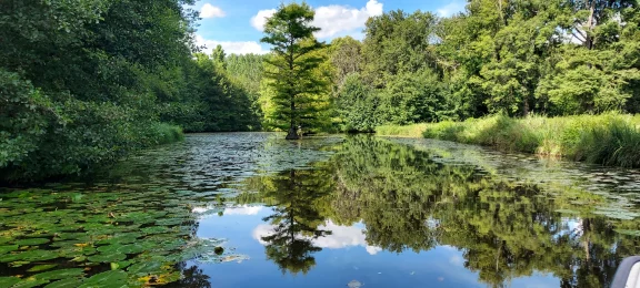 Cheverny. Une partie du domaine se visite par bateau électrique.