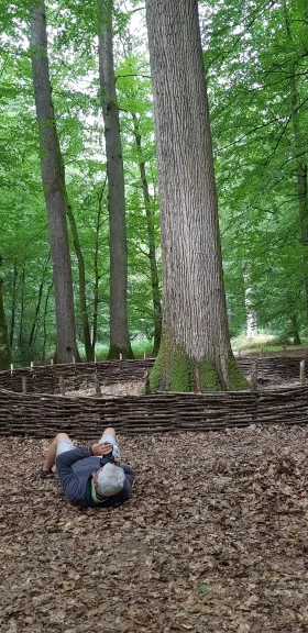Dans la forêt de Bercé, il faut s'allonger au sol pour prendre en photo les chênes majestueux.