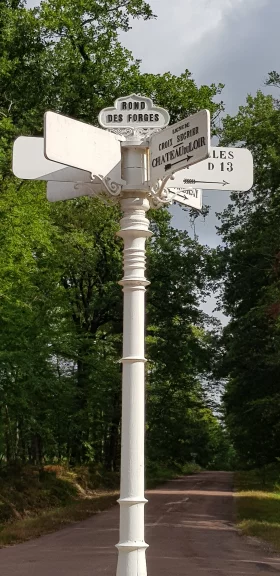 Des petits carrefours permettent de ne pas se perdre dans la forêt de Bercé, vaste massif de 5400 hectares.