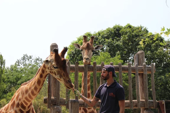 Le zoo de La Flèche est devenu célèbre à travers 700 épisodes de l'émission Une saison au zoo sur France 4.