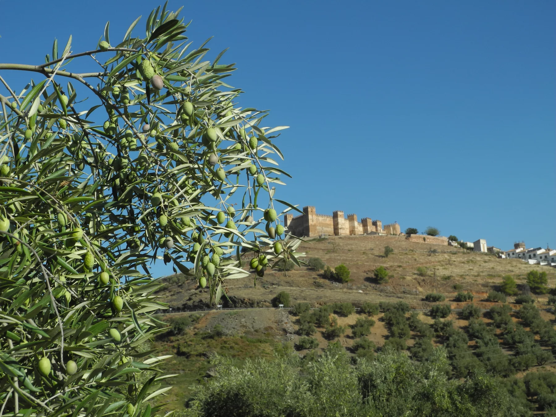Banos de la Encina et son château
