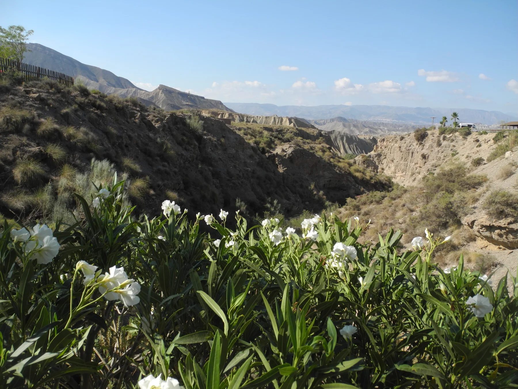 Une rambla aride en éveil matinal, dans le désert de Tabernas