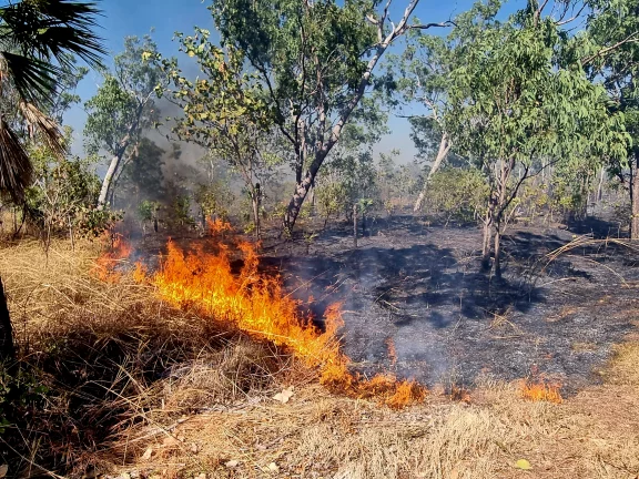 La technique du bruli employée et grandement maitrisée par les arborigène.