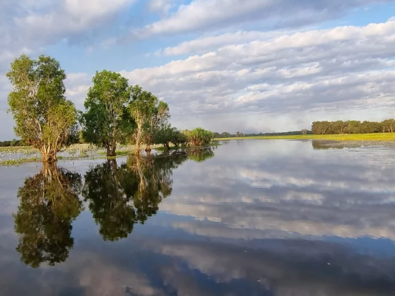 Vue sur la Yelow water dans le parc de Kakadu.