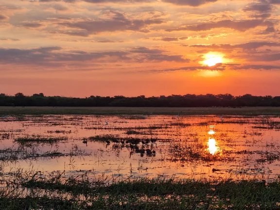 Vue sur la Yelow water dans le parc de Kakadu.