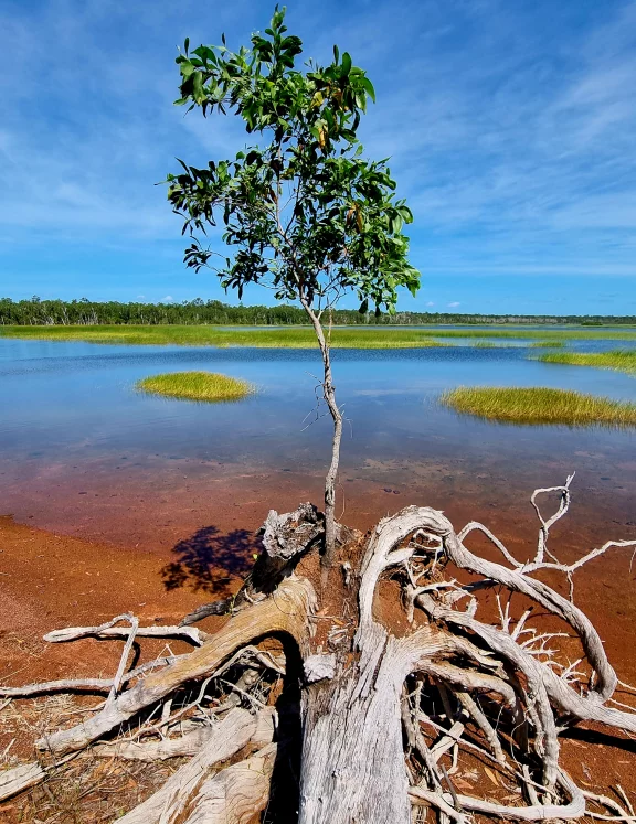 En Australie la nature est reine.