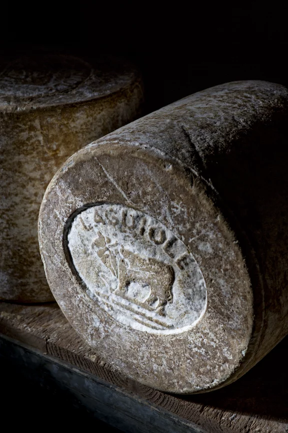 Fromage de Laguiole en cave.