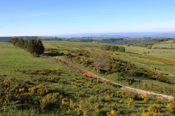 Le plateau de l'Aubrac se situe entre 1200 et 1400 mètres d'altitude.