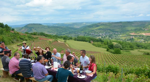Pique nique dans les vignes.