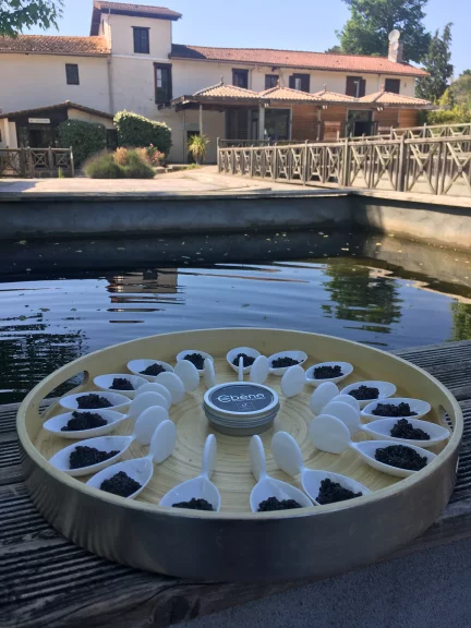 Dégustation de caviar au moulin de la CAssadotte