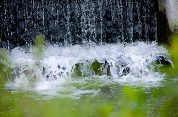 L'eau du Lacanau, la rivière locale, alimente les bassins.