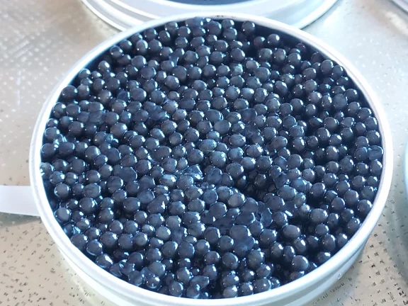 L'or noir, un trésor gastronomique du Sud-Ouest. Photo CaviardeFrance@phil.labeguerie 