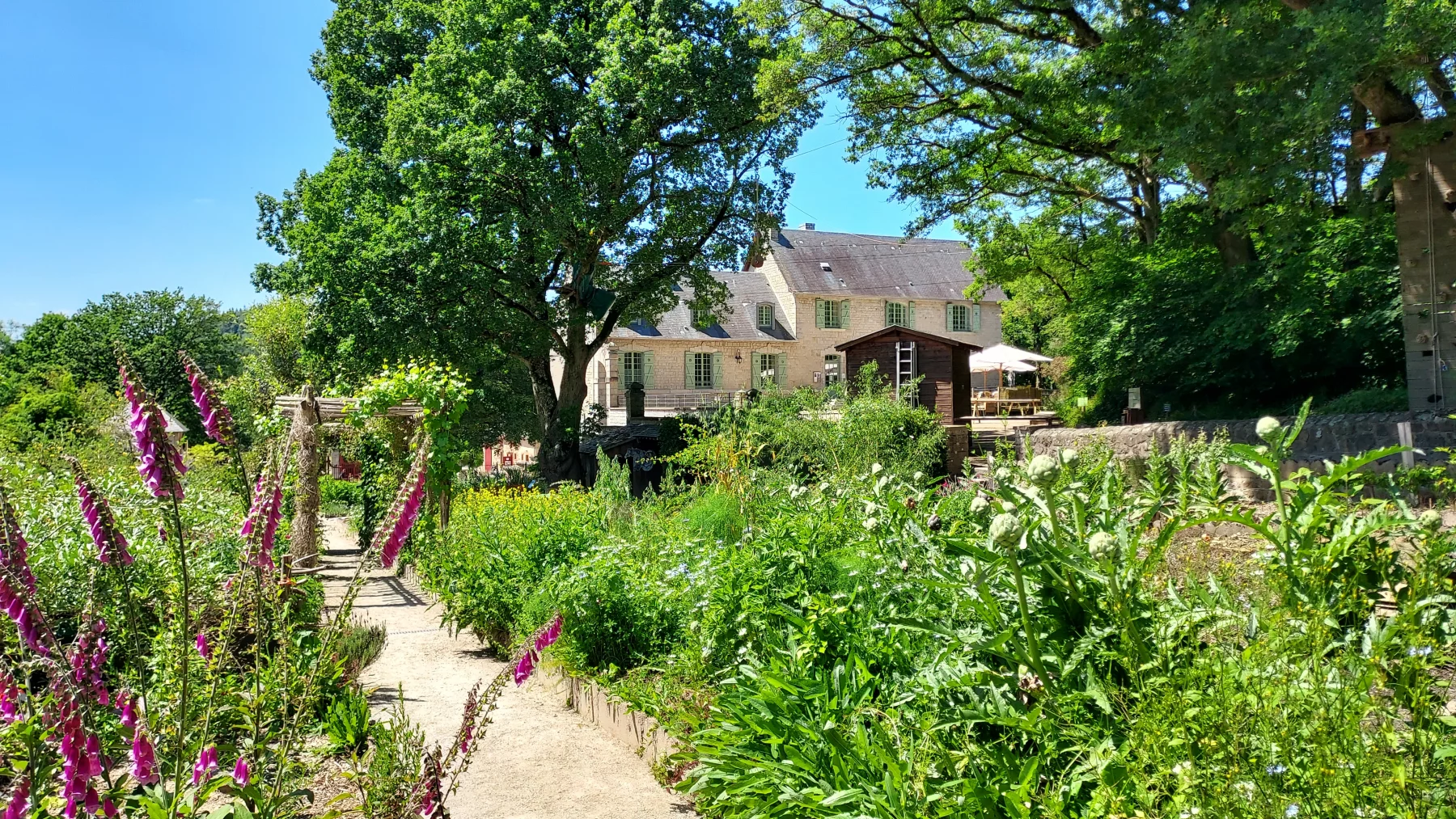 Le domaine de Gasseau à Saint-Léonard-des-Bois.
