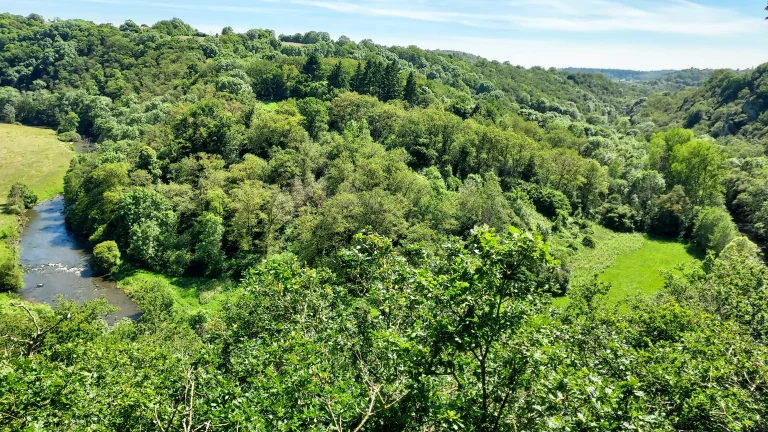 Les Alpes Mancelles, la nature se décline en vert et bleu