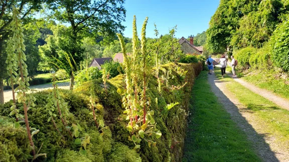 Saint-Cénéri-le-Gérei, des belles balades à faire.