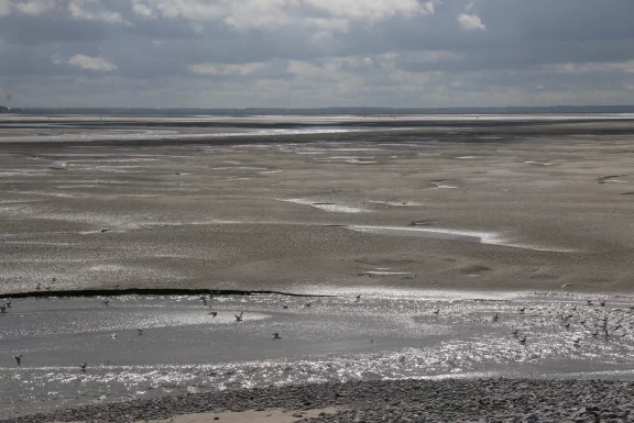 Vue sur la baie de Somme.