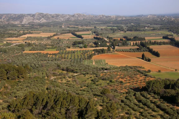 Vue sur les champs d'oliviers depuis les Baux de Provence.