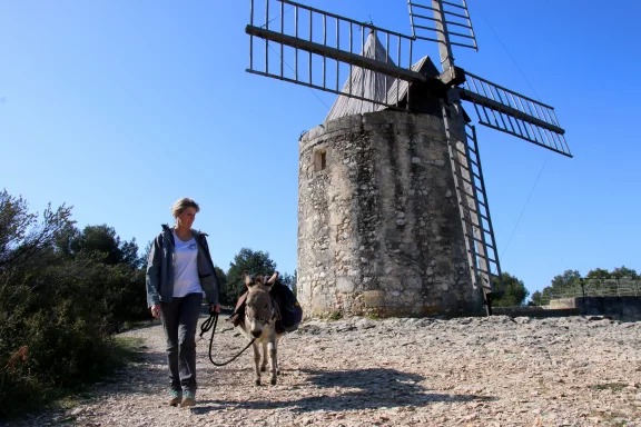 A Fontvieille, l'un des moulins qui a inspiré l'écrivain Alphonse Daudet pour "Les Lettres de mon moulin".