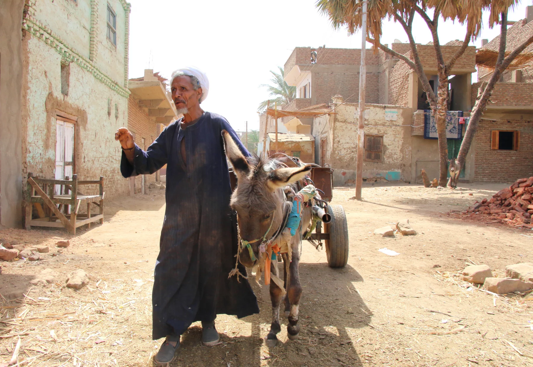 Scéne de rue dans un village au bord du Nil.