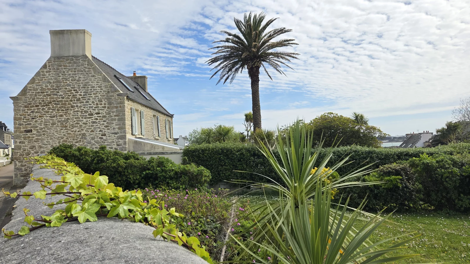 L'île de Batz et ses palmiers.
