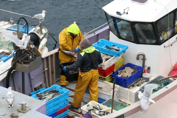 Retour de pêche.