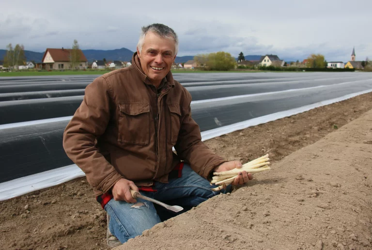 Marc Fleith est l'un des 225 producteurs d'asperges en Alsace.