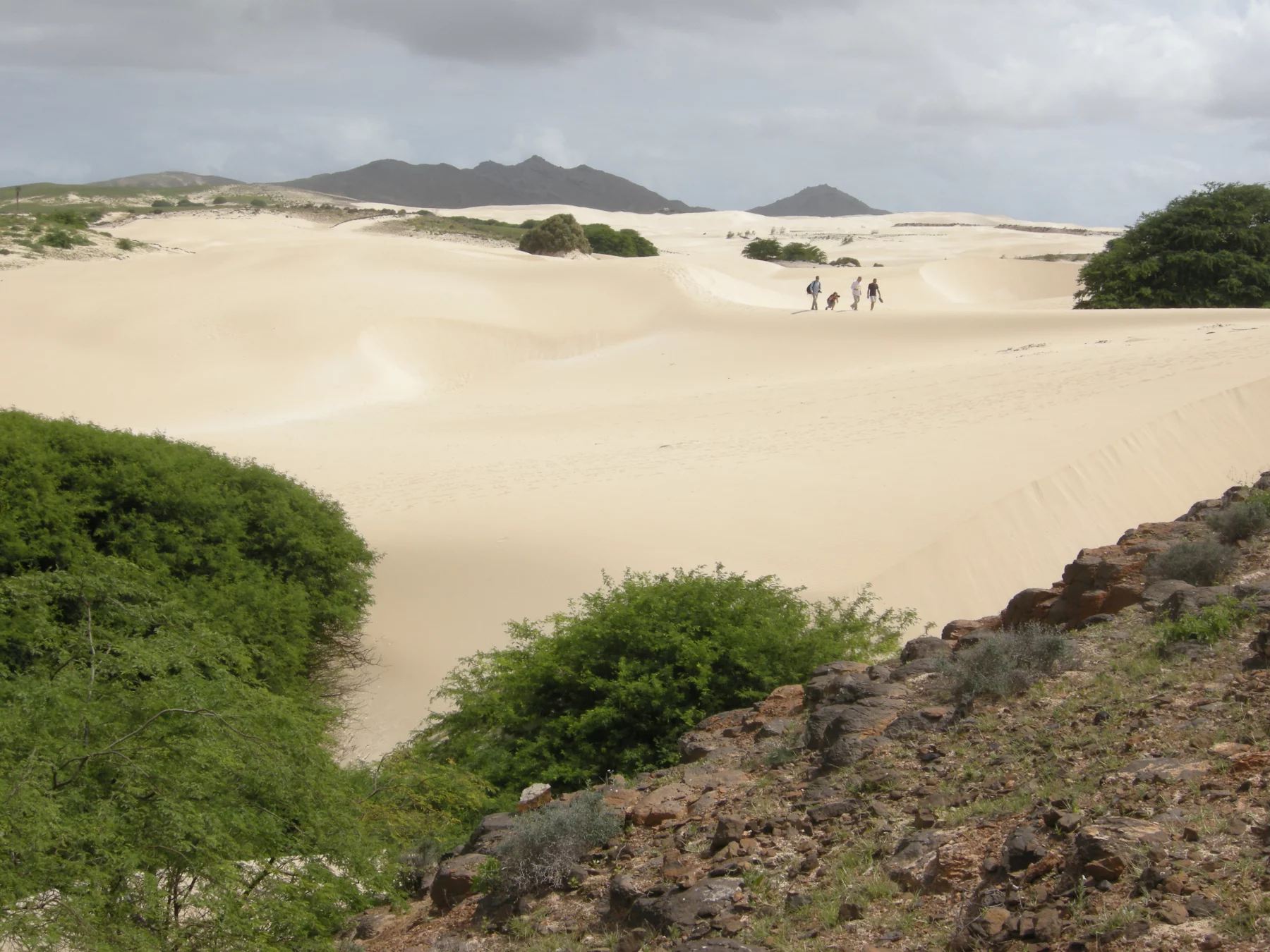 Le désert de Viana au nord-ouest de l'île de Boa Vista