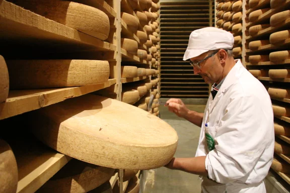 Claude Querry sonne cette meule de comté pour controler l'homogénéité de la pâte.