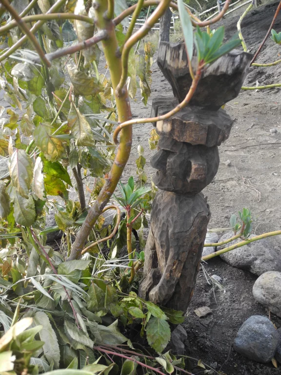 Totem rituélique à la cascade Truful Truful