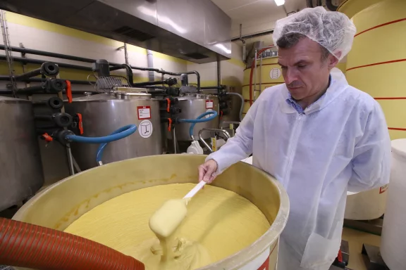 Fallot continue d'écraser ses graines sur des meules de pierre.